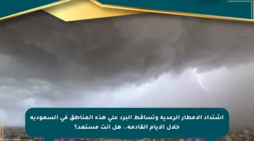 اشتداد الأمطار الرعدية وتساقط البرد على هذه المناطق في السعودية خلال الأيام القادمة.. هل أنت مستعد؟